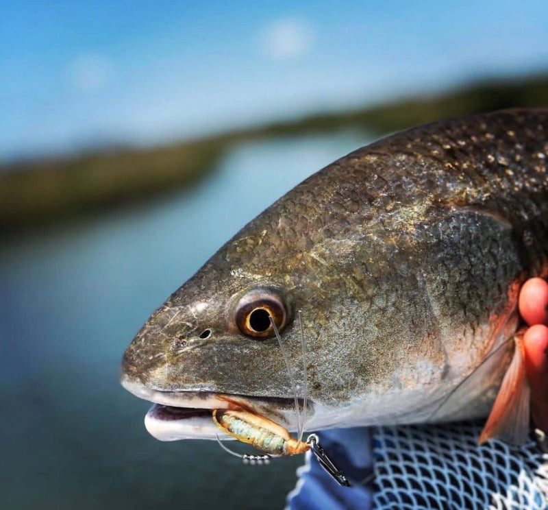 SpeedClip™ Fishing Clips