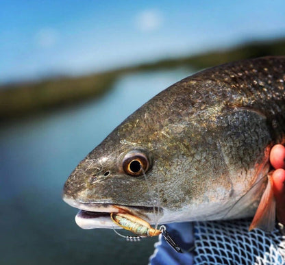 SpeedClip™ Fishing Clips